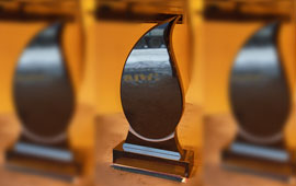 Фигурные памятники